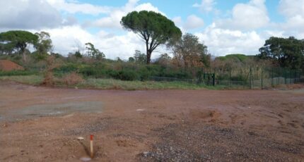 Puget-sur-Argens Terrain à bâtir - 2424636-11157annonce220260211xJkv2.jpeg Maisons Open