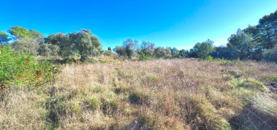 Terrain à bâtir à , Var