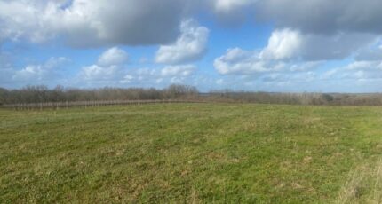 Monségur Terrain à bâtir - 2424477-1086annonce120260210wdJMP.jpeg Maisons Open