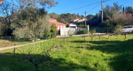 Pierrefeu-du-Var Terrain à bâtir - 2365138-11137annonce420250819E0QHJ.jpeg Maisons Open