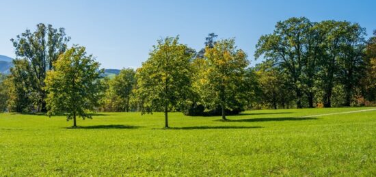 Terrain à bâtir à Boissettes, Île-de-France