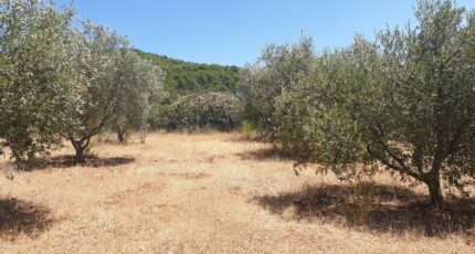 Puget-Ville Terrain à bâtir - 2386525-5622annonce320260109o045M.jpeg Maisons Open