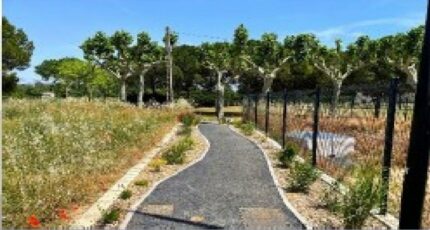 Floure Terrain à bâtir - 2424933-10986annonce120250624adEwG.jpeg Maisons Open