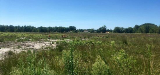 Terrain à bâtir à Mios, Nouvelle-Aquitaine