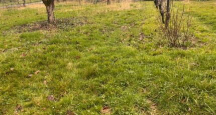 Sadirac Terrain à bâtir - 2425225-3601annonce2202602116Juii.jpeg Maisons Open