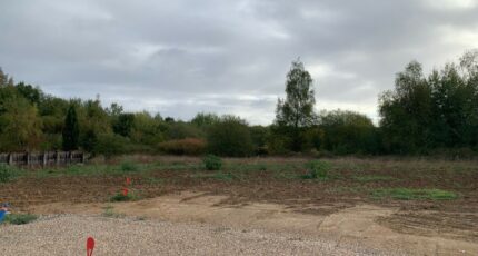 Léognan Terrain à bâtir - 2425272-11358annonce120260211qwk50.jpeg Maisons Open