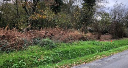 Saint-Savin Terrain à bâtir - 2425682-1090annonce120260211MtaLq.jpeg Maisons Open