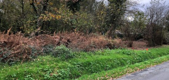 Terrain à bâtir à Saint-Savin, Nouvelle-Aquitaine