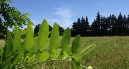 Cavaillon Terrain à bâtir - 2379770-417annonce120260102fUhof.jpeg Maisons Open