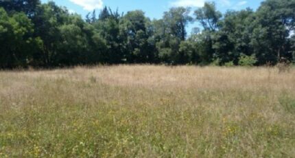 Cavaillon Terrain à bâtir - 2379770-417annonce3202601022Mot6.jpeg Maisons Open