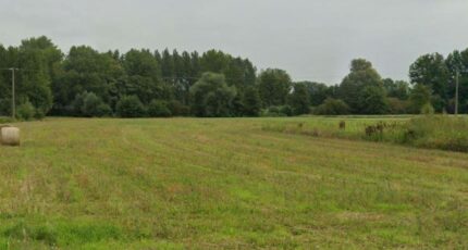 Marchiennes-Campagne Terrain à bâtir - 2386598-10863annonce120260109wyShM.jpeg Maisons Open