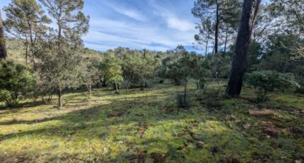 Garéoult Terrain à bâtir - 2426293-10744annonce220260212dnwnG.jpeg Maisons Open