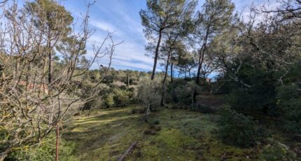 Garéoult Terrain à bâtir - 2426293-10744annonce3202602120VGmM.jpeg Maisons Open