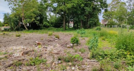 Pomponne Terrain à bâtir - 2426438-10844annonce120260212JVvDN.jpeg Maisons Open