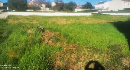 Pertuis Terrain à bâtir - 2426845-10271annonce220260212JeELm.jpeg Maisons Open