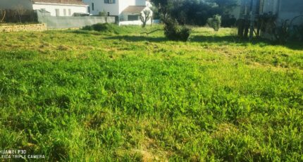 Pertuis Terrain à bâtir - 2426845-10271annonce3202602122EgQp.jpeg Maisons Open