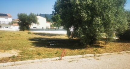 Pertuis Terrain à bâtir - 2426927-10271annonce320260212ktofS.jpeg Maisons Open