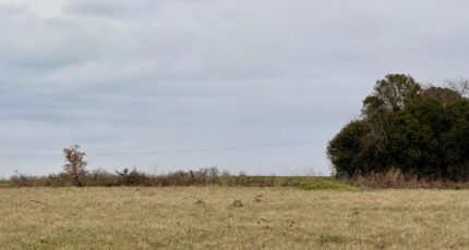 Saint-Aubin-de-Lanquais Terrain à bâtir - 2427166-11709annonce520260212doilr.jpeg Maisons Open