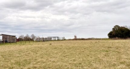 Saint-Aubin-de-Lanquais Terrain à bâtir - 2427166-11709annonce120260212W6KzX.jpeg Maisons Open