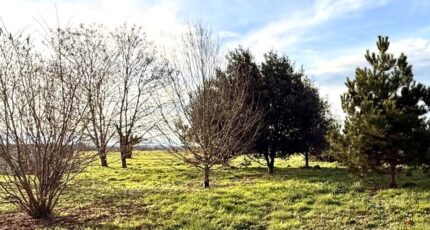 Saint-Pierre-d'Eyraud Terrain à bâtir - 2426767-11709annonce320260212fniOm.jpeg Maisons Open