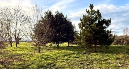 Saint-Pierre-d'Eyraud Terrain à bâtir - 2426767-11709annonce120260212H6PZF.jpeg Maisons Open