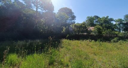 Andernos-les-Bains Terrain à bâtir - 2426880-9575annonce220250623Z3dy5.jpeg Maisons Open