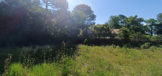 Terrain à bâtir à , Gironde