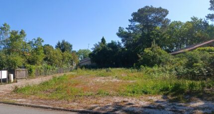 Andernos-les-Bains Terrain à bâtir - 2426880-9575annonce320250623A4FXE.jpeg Maisons Open