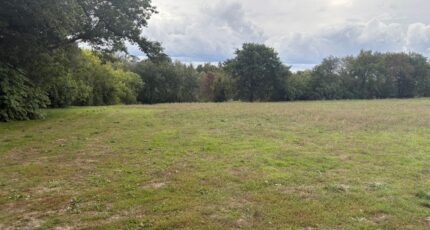 Montastruc-la-Conseillère Terrain à bâtir - 2424876-11356annonce120260211ECGkI.jpeg Maisons Open