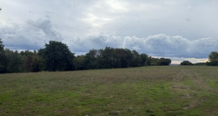 Montastruc-la-Conseillère Terrain à bâtir - 2424876-11356annonce220260211C11Cs.jpeg Maisons Open