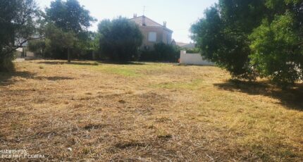 Pertuis Terrain à bâtir - 2427430-10271annonce220260212xi4dN.jpeg Maisons Open