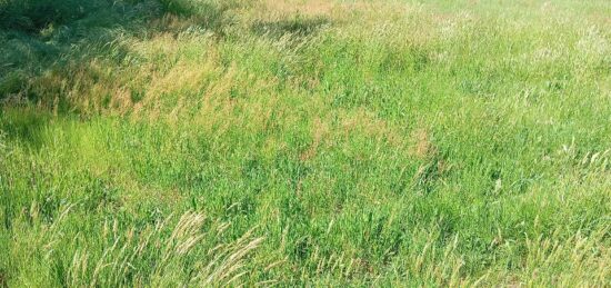 Terrain à bâtir à Mios, Nouvelle-Aquitaine