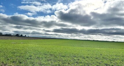 Angliers Terrain à bâtir - 2427382-9644annonce320260212e6Ih9.jpeg Maisons Open