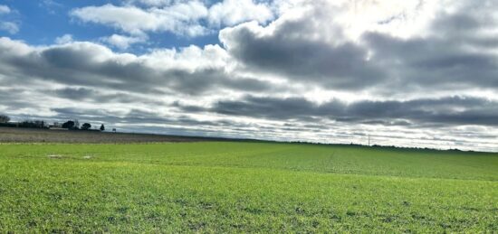 Terrain à bâtir à Angliers, Nouvelle-Aquitaine