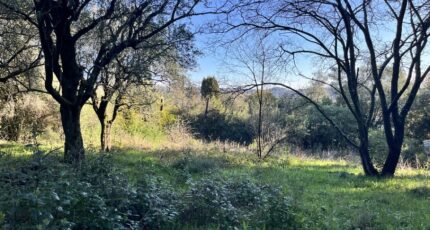 Grasse Terrain à bâtir - 2428284-10140annonce220260213aFDan.jpeg Maisons Open