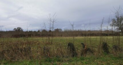 Saint-Pierre-d'Aurillac Terrain à bâtir - 2428359-9573annonce1202602134w7TH.jpeg Maisons Open