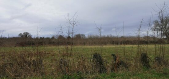 Terrain à bâtir à Saint-Pierre-d'Aurillac, Nouvelle-Aquitaine
