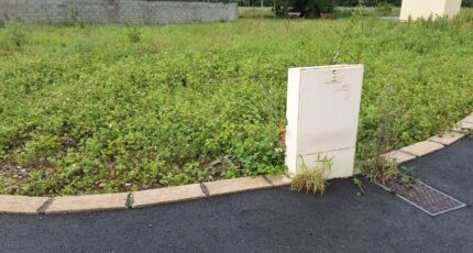 Saint-Clar-de-Rivière Terrain à bâtir - 2427859-9555annonce120260213DJsV5.jpeg Maisons Open