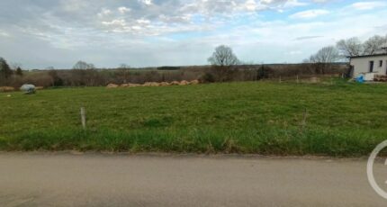 Capvern Terrain à bâtir - 2428698-4594annonce320260213sJ097.jpeg Maisons Open