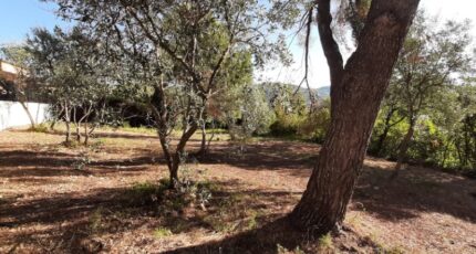 Draguignan Terrain à bâtir - 2429030-10295annonce120260213wvigW.jpeg Maisons Open