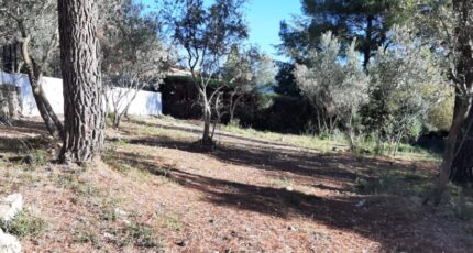 Draguignan Terrain à bâtir - 2429030-10295annonce320260213paQ1N.jpeg Maisons Open