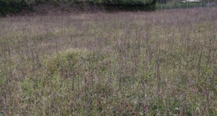 Château-Landon Terrain à bâtir - 2429161-11705annonce420260213Kr1RQ.jpeg Maisons Open