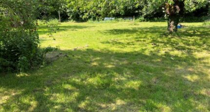 Château-Landon Terrain à bâtir - 2429155-11705annonce420260213mRKSh.jpeg Maisons Open