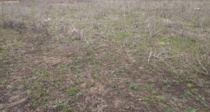 Nemours Terrain à bâtir - 2429198-11705annonce420260213quIWz.jpeg Maisons Open