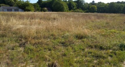 Nemours Terrain à bâtir - 2429189-11705annonce4202602130Oho4.jpeg Maisons Open