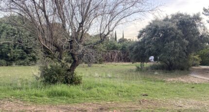 Cucuron Terrain à bâtir - 2429078-9917annonce220260213PxnX1.jpeg Maisons Open