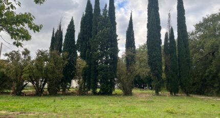 Malataverne Terrain à bâtir - 2429437-6150annonce120251005FTywD.jpeg Maisons Open