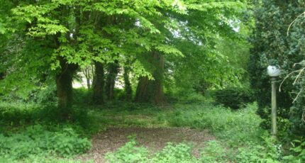 Tournan-en-Brie Terrain à bâtir - 2429635-4353annonce120260215OIGZd.jpeg Maisons Open