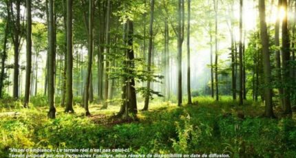 Égly Terrain à bâtir - 2430169-4684annonce120260216JyDqN.jpeg Maisons Open