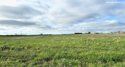 Angliers Terrain à bâtir - 2427369-9644annonce120260212Qdsma.jpeg Maisons Open